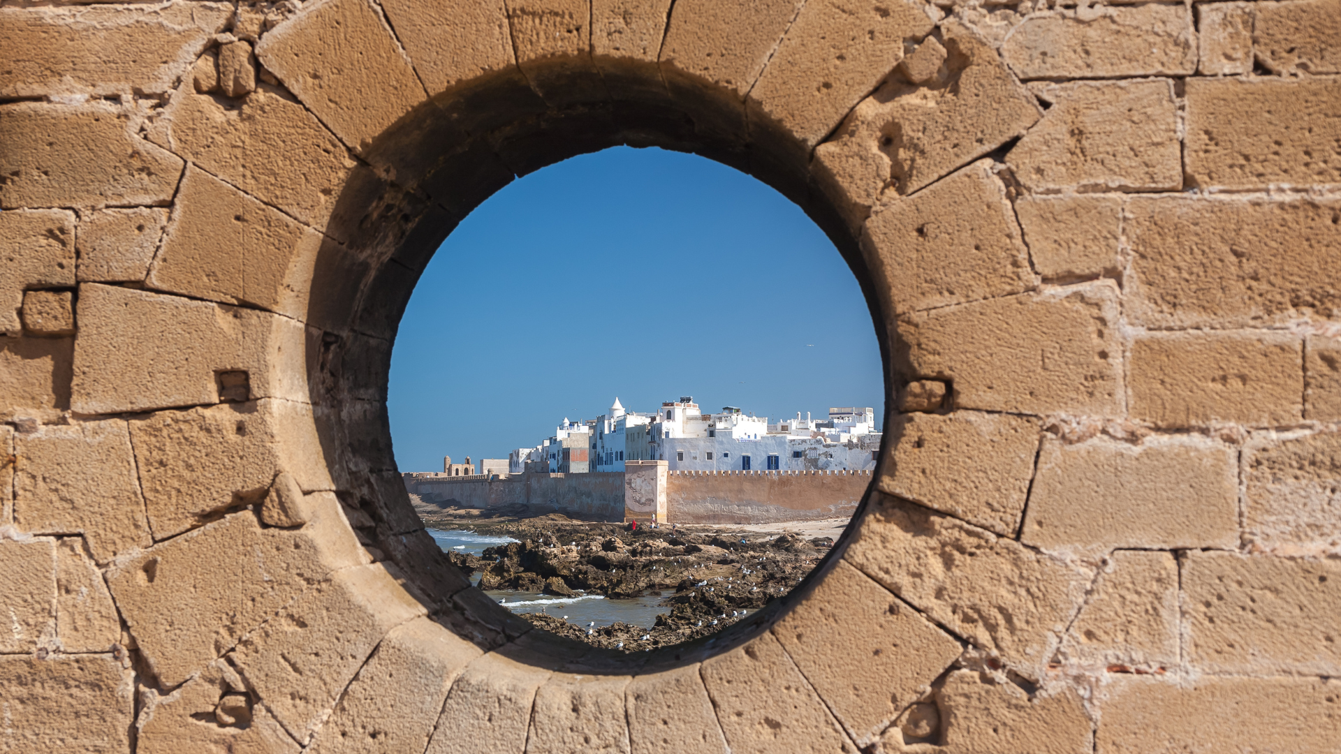 1 Day Trip to Essaouira from Marrakech