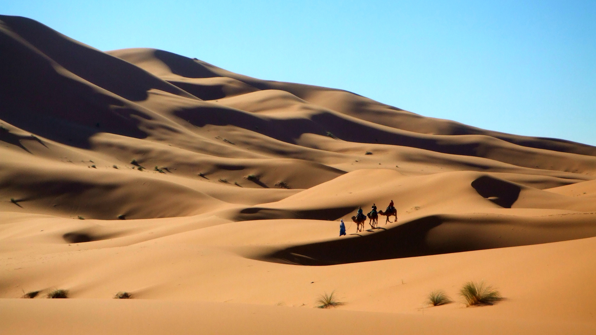 6 Days Morocco Tour from Casablanca