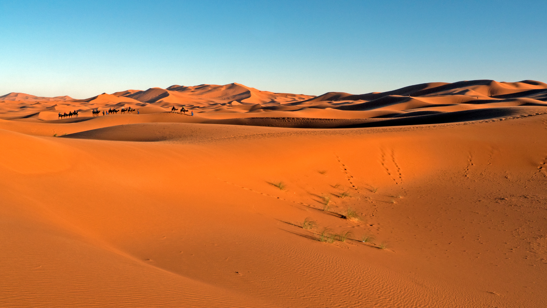 7 Days Morocco Tour from Casablanca